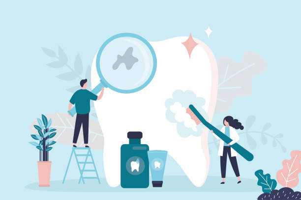 Best Emergency Dental Care  in Sarasota, FL